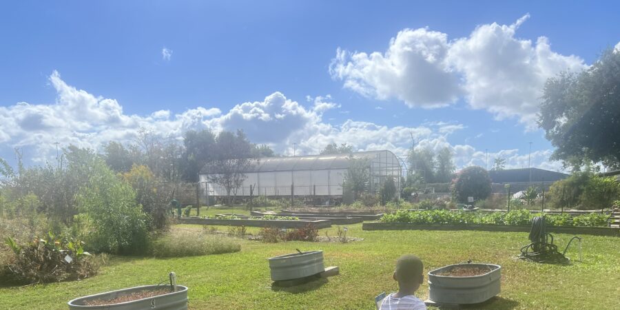 Learning Beyond the Garden Fence