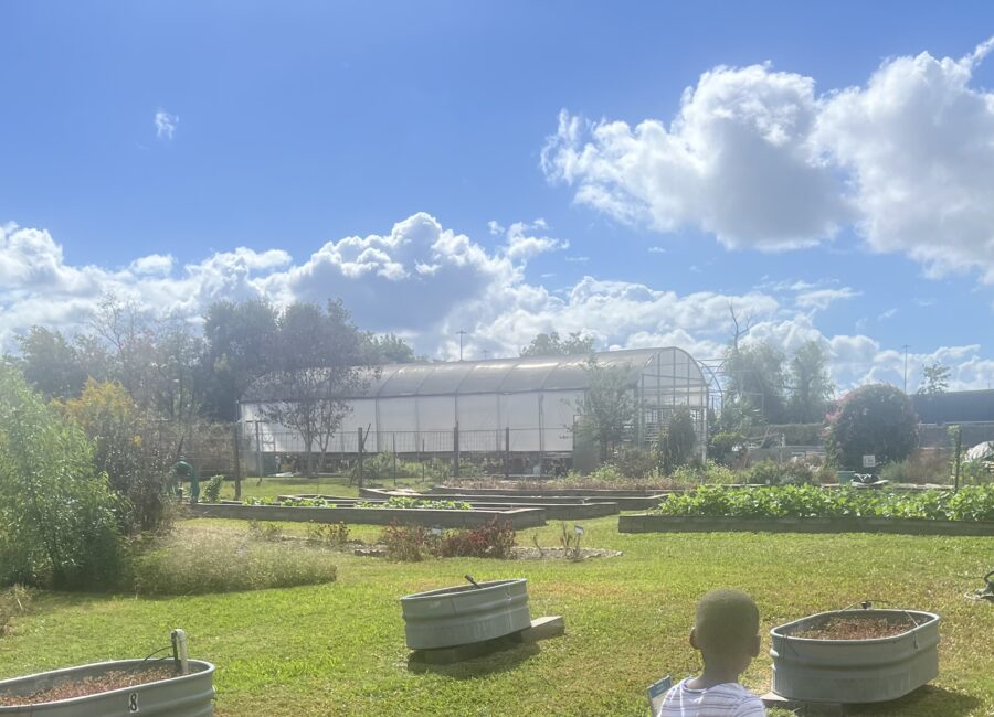 Learning Beyond the Garden Fence