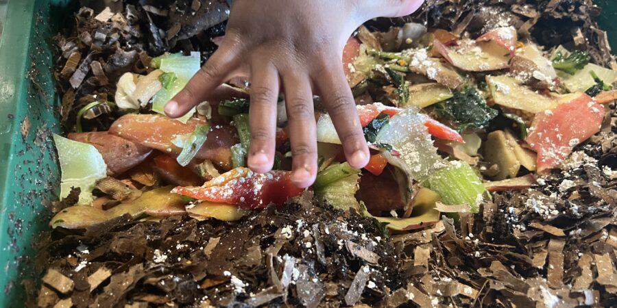 Starting Small: The Worm Farm