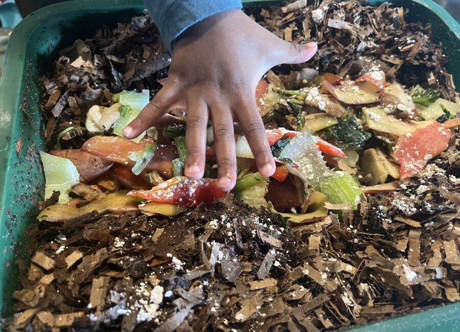 Starting Small: The Worm Farm