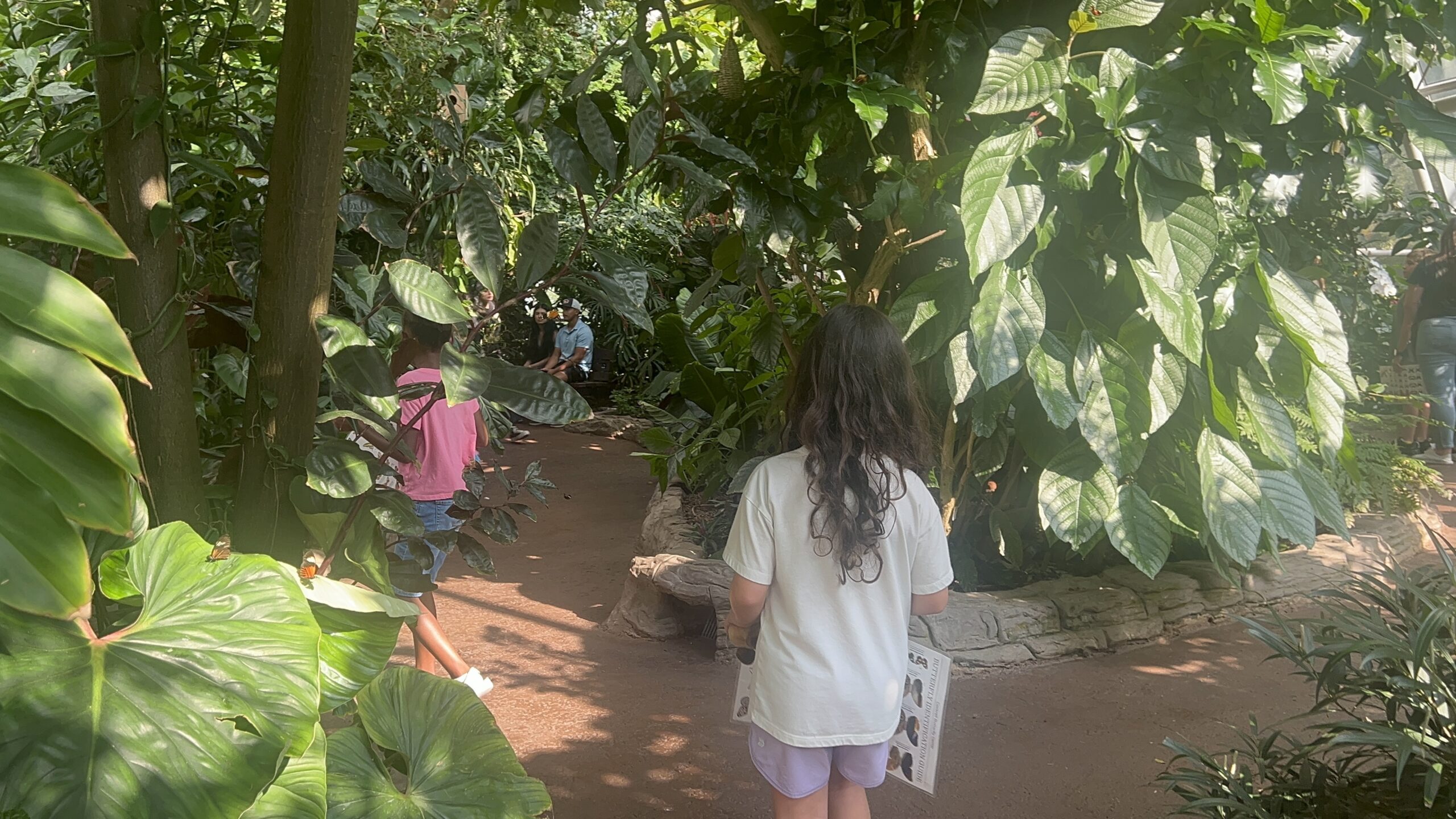 Cockrell Butterfly Center