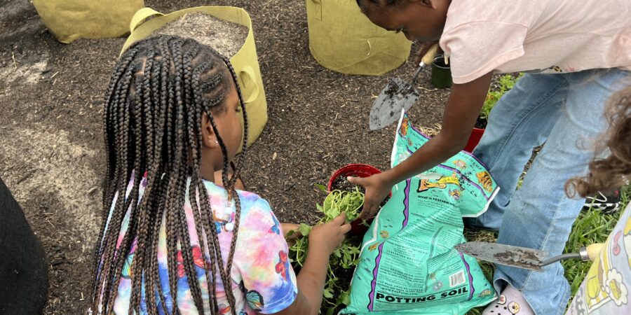 Planting with Intention