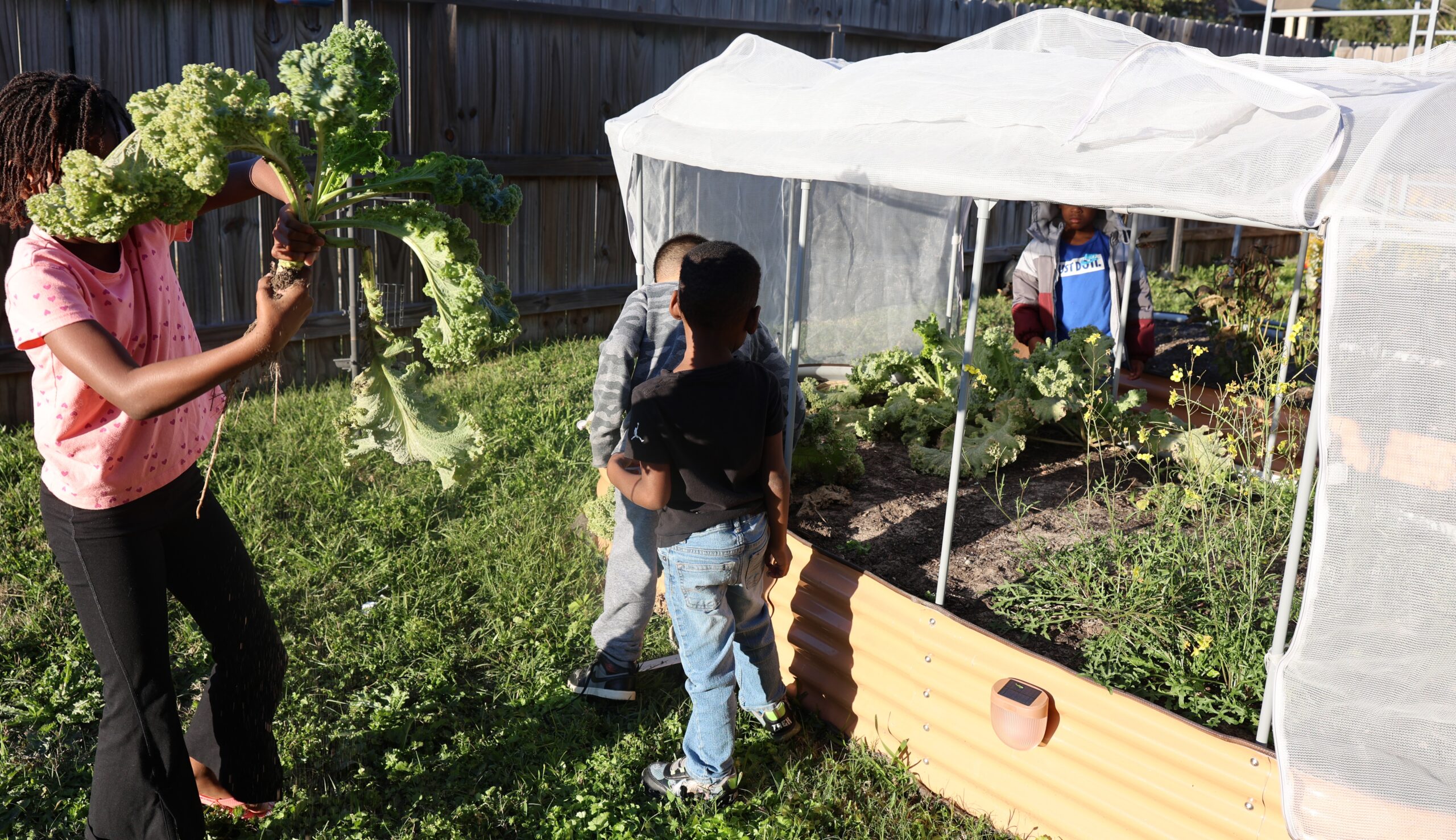 Purpose in Practice: Service, Soil, & Shared Responsibility