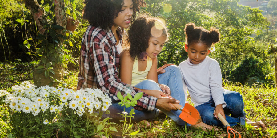 Unlocking Heirs’ Property: Securing Land Access for the Next Generation