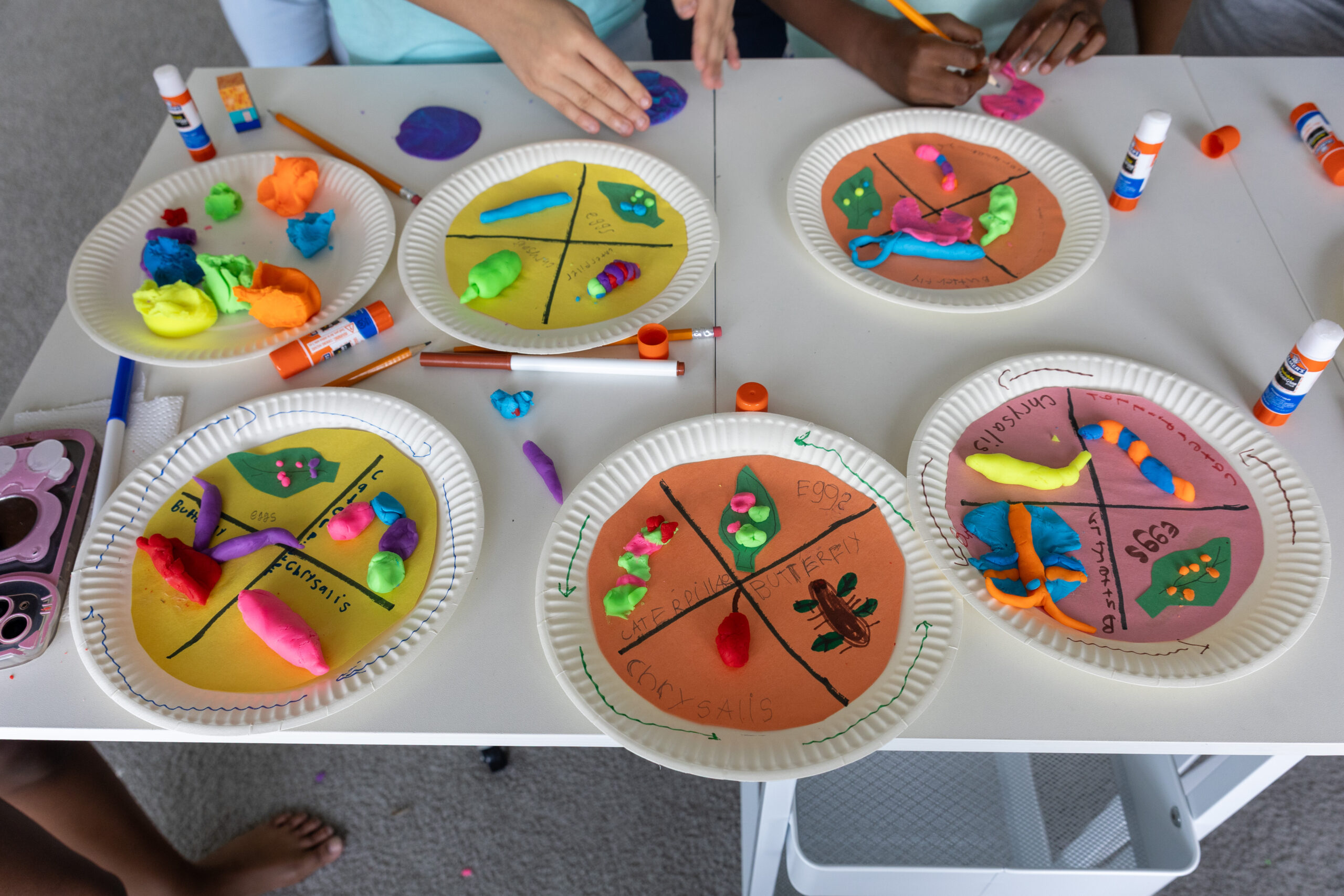 Butterfly Discovery Day