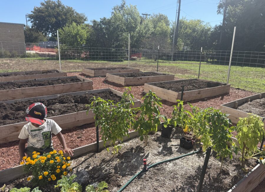 DHCG Partners with Classroom Crops: Growing Beyond the Garden