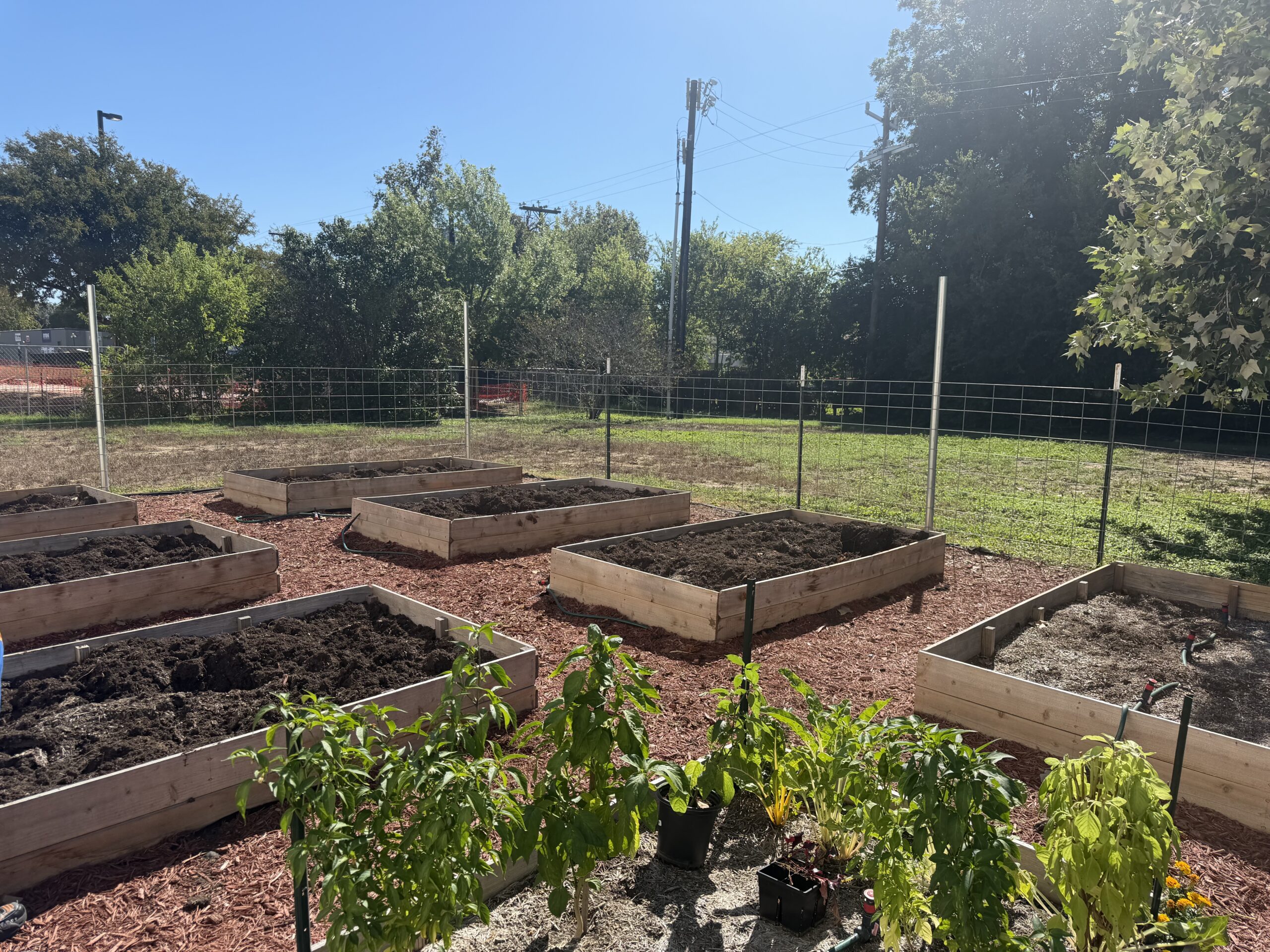 Classroom Crops Field Day